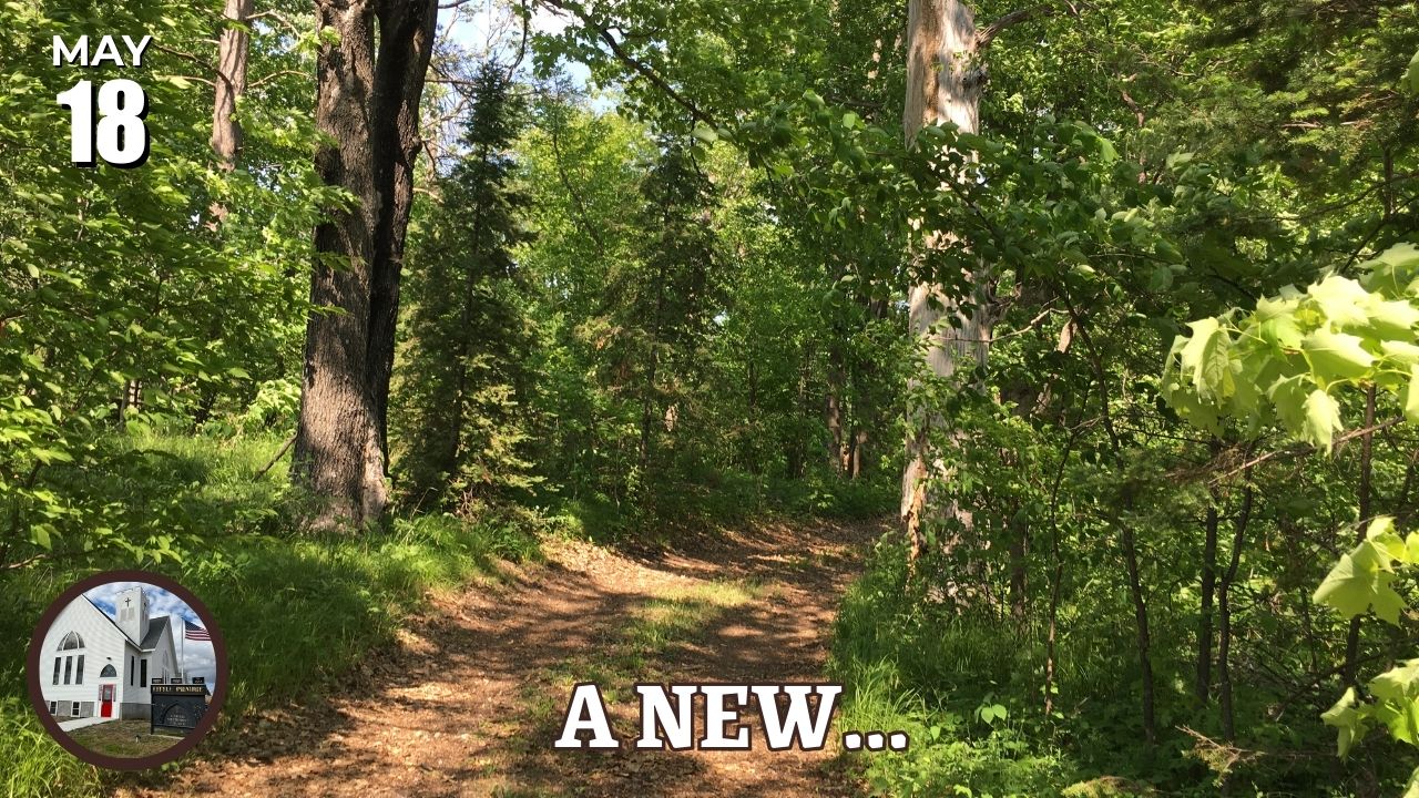 scenic woods trail