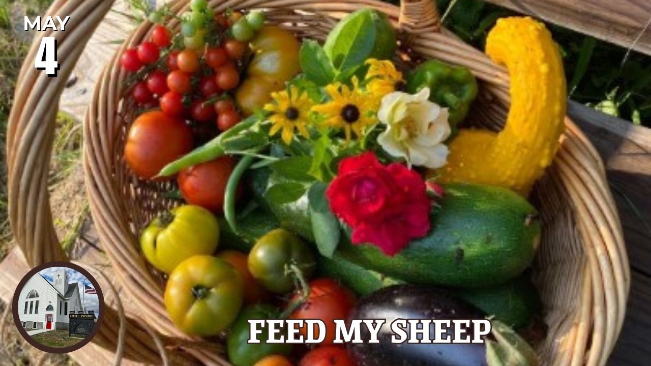 Basket of vegetables