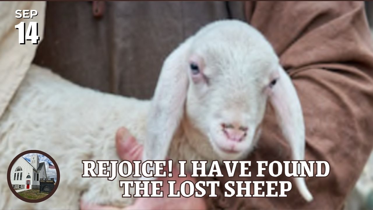 someone holding a lamb