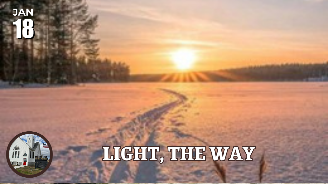 Path through the snow