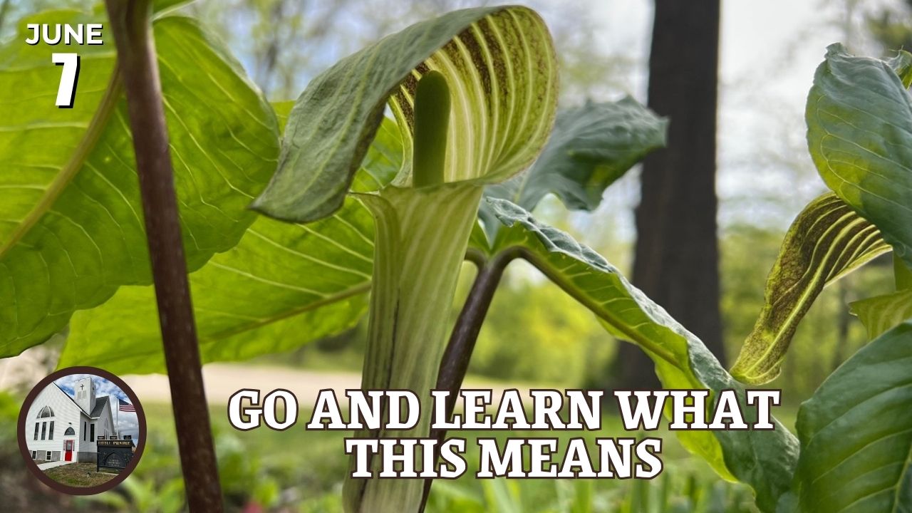 go and learn what this means video link