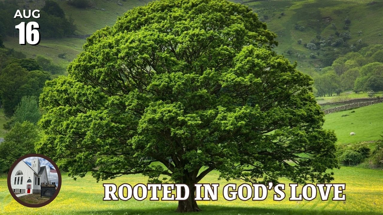 rooted in god's love