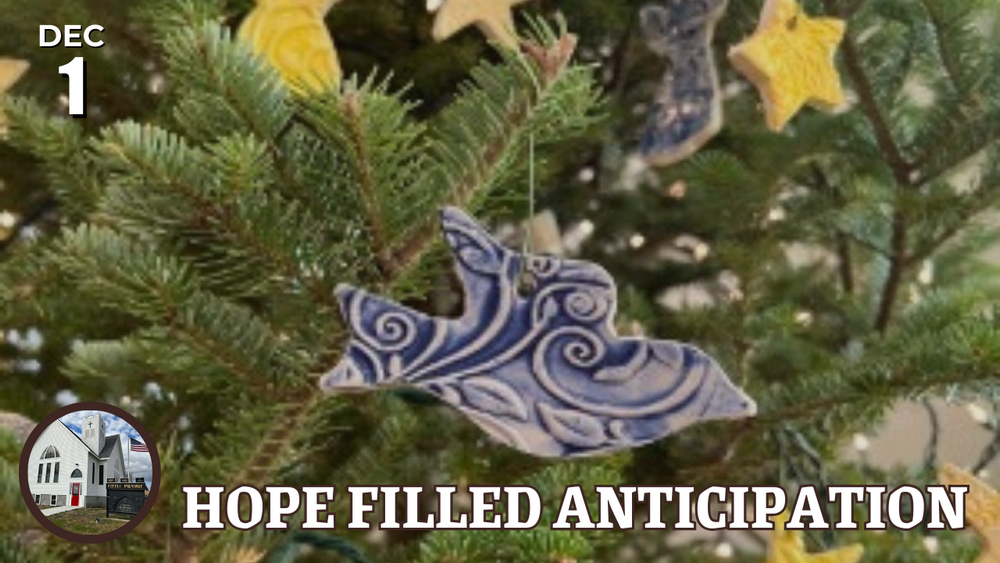 Ornament on Christmas tree