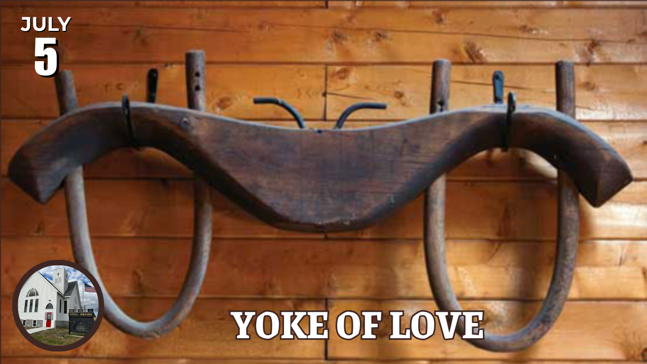 Yoke