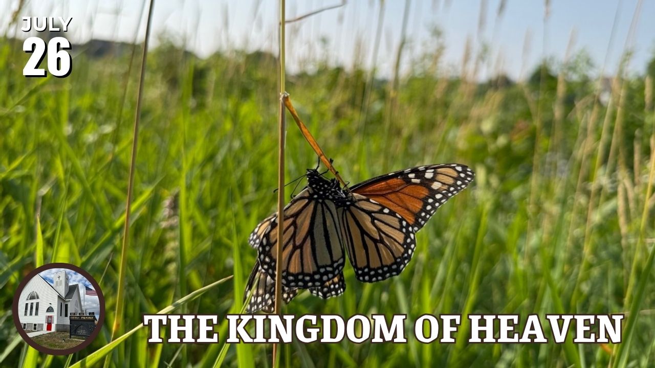 The Kingdom of Heaven video link