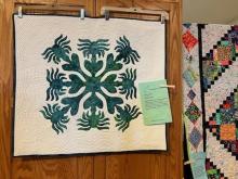 Quilt show 2024